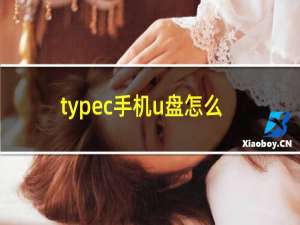 typec手机u盘怎么用