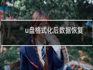 u盘格式化后数据恢复方法教程（u盘格式化后数据怎么恢复）