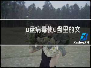 u盘病毒使u盘里的文件被隐藏了怎么办