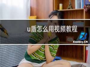 u盾怎么用视频教程（u盾怎么用）