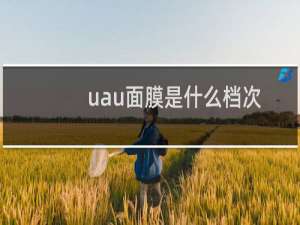 uau面膜是什么档次