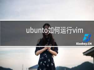 ubunto如何运行vim