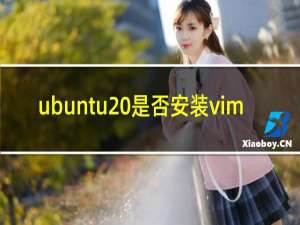 ubuntu 是否安装vim