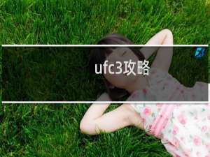 ufc3攻略