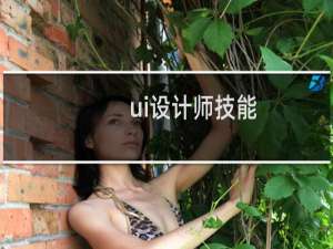 ui设计师技能