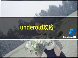 underold攻略