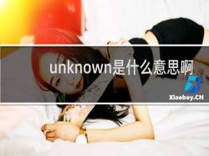 unknown是什么意思啊