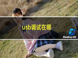 usb调试在哪（usb调试在哪）