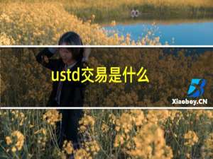 ustd交易是什么（ustd交易是什么币）