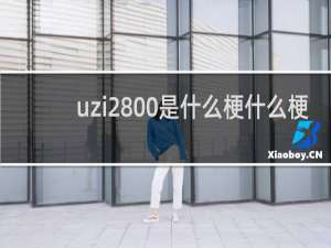 uzi2800是什么梗什么梗