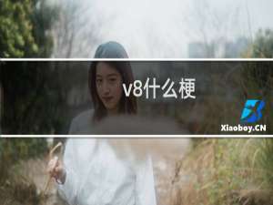 v8什么梗