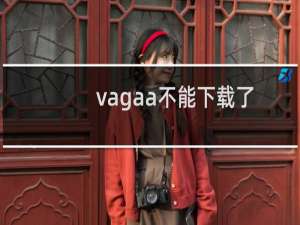 vagaa不能下载了怎么回事（vagaa搜索不到也下不了东西）