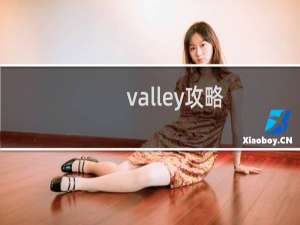 valley攻略