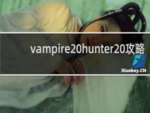 vampire hunter 攻略