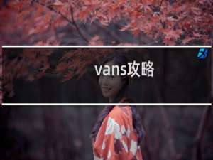 vans攻略