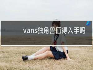 vans独角兽值得入手吗
