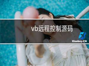 vb远程控制源码