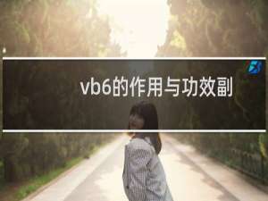 vb6的作用与功效副作用（vb6的功效与作用）