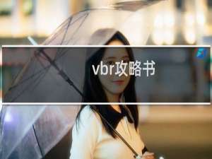 vbr攻略书