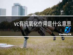 vc有抗氧化作用是什么意思