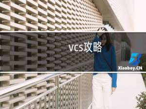 vcs攻略