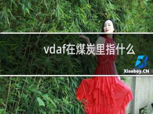 vdaf在煤炭里指什么意思