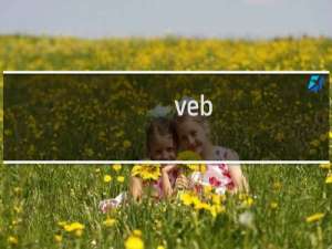 veb