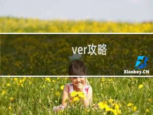 ver攻略