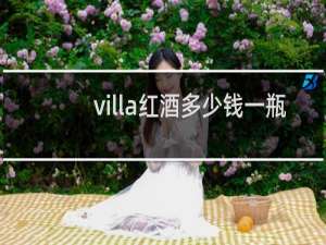 villa红酒多少钱一瓶
