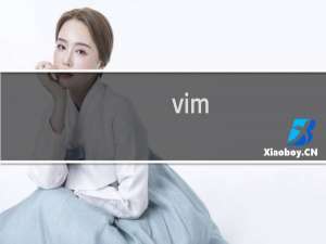 vim(一)是什么意思