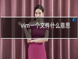 vim一个文件什么意思