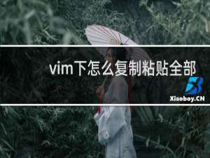 vim下怎么复制粘贴全部