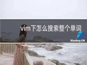 vim下怎么搜索整个单词