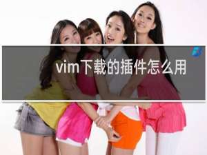 vim下载的插件怎么用
