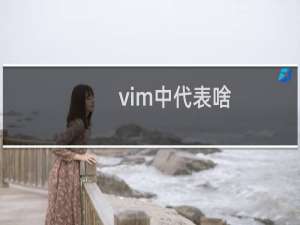 vim中代表啥