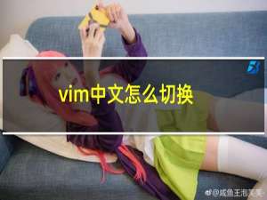 vim中文怎么切换