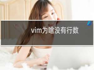 vim为啥没有行数
