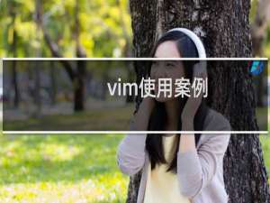 vim使用案例