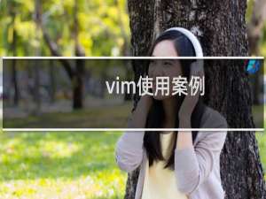 vim使用案例