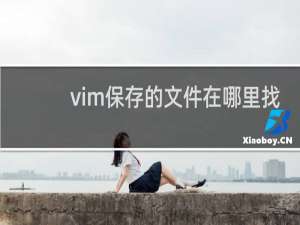 vim保存的文件在哪里找