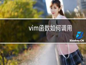 vim函数如何调用