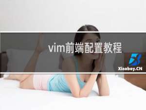 vim前端配置教程