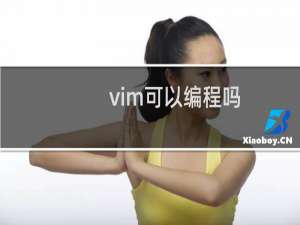 vim可以编程吗