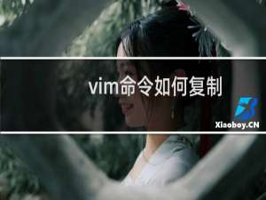 vim命令如何复制