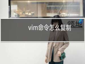 vim命令怎么复制