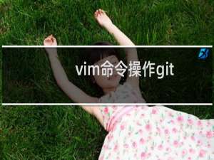 vim命令操作git