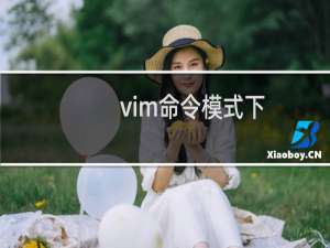 vim命令模式下