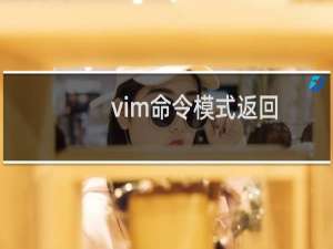 vim命令模式返回