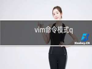 vim命令模式q
