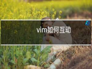 vim如何互动